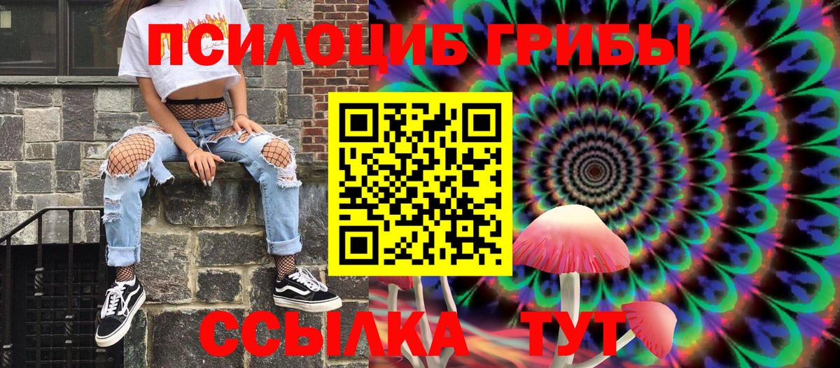 Малоярославец  Псилоцибиновые грибы Psilocybine cubensis  Вход с VPN 